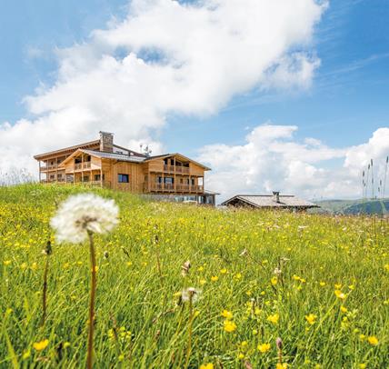 Hotel Goldknopf on the Alpe di Siusi