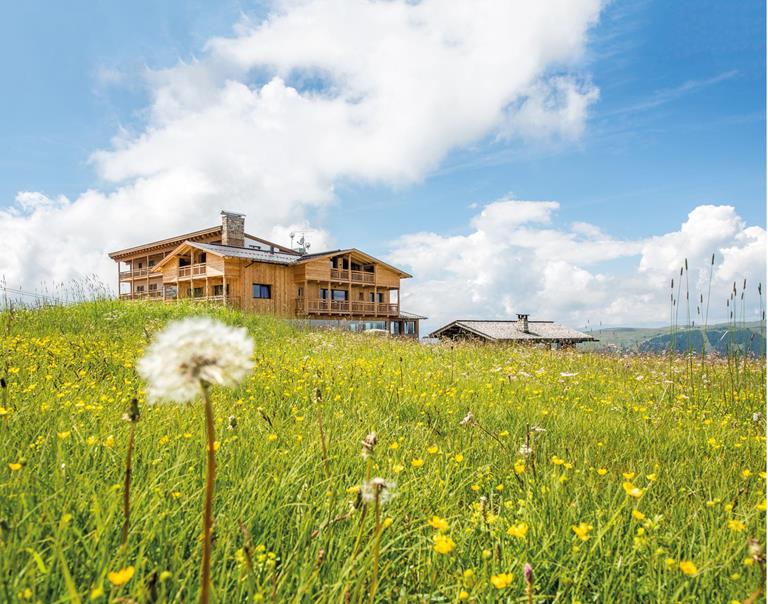 Hotel Goldknopf on the Alpe di Siusi