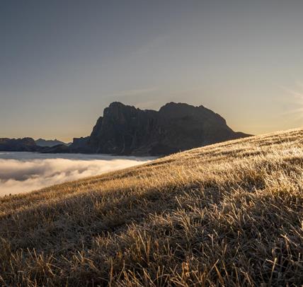 Alba sull'Alpe di Siusi