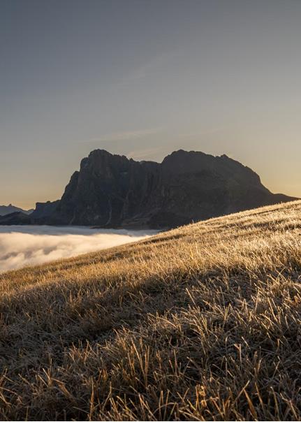 Alba sull'Alpe di Siusi