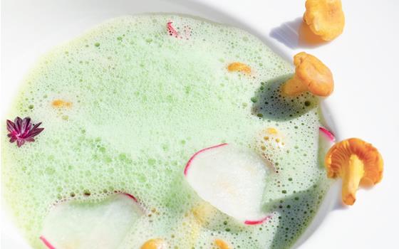 hotel-goldknopf-rezept-radieschensuppe