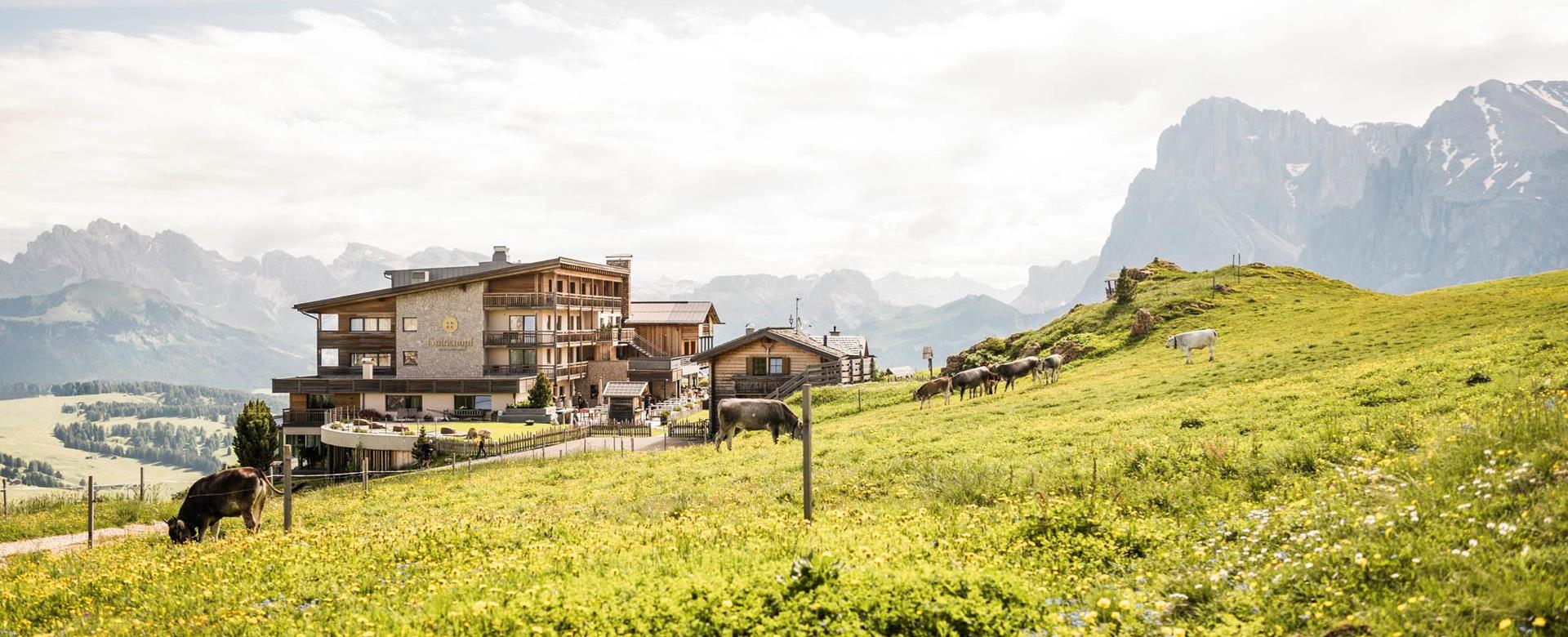 Estate sull'Alpe di Siusi