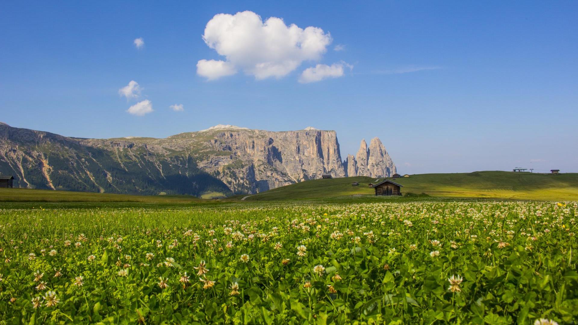 Sommer auf der Seiser Alm