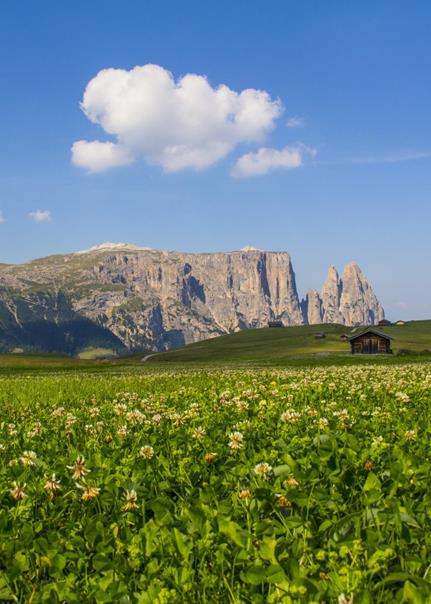 Sommer auf der Seiser Alm