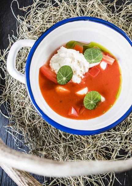 Burrata mit Tomate