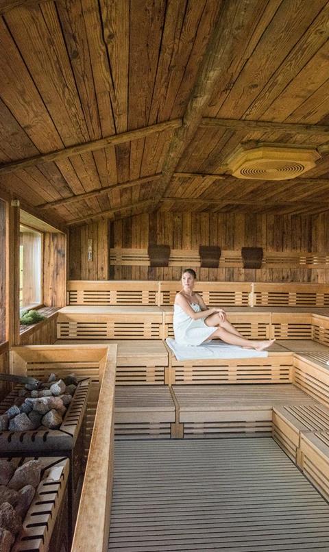 Two Guests in the Sauna