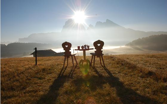 sam-seiser-alm-balance-tabblatoo
