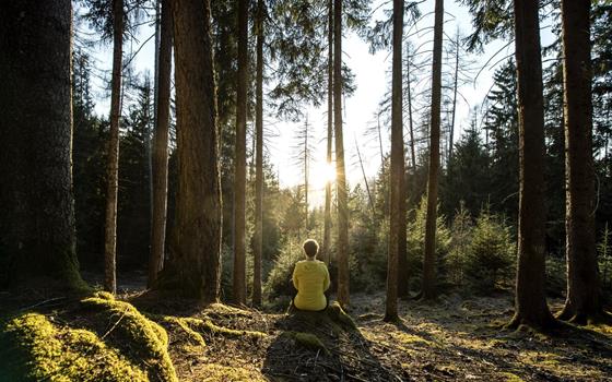 sam-seiser-alm-balance-waldbaden-helmuth-rier