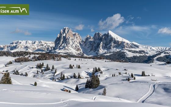 Inverno sull' Alpe di Siusi