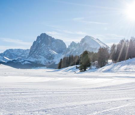 Die schneebedeckte Seiser Alm